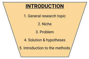 nursing research paper structure