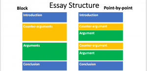 nursing essay writing